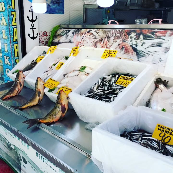 Munzur Balıkçısı 